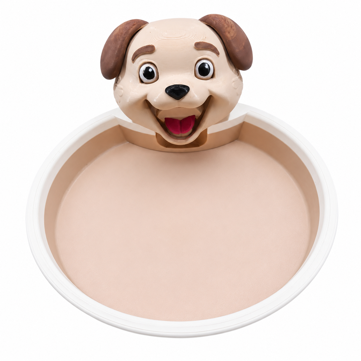 Cachorro